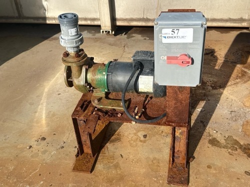 Ansimag Pump