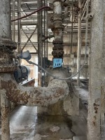Reliance Electric Pump - 2