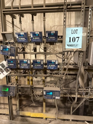 (10) Toledo Weighing System Controllers