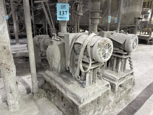 Lot (2) Water Pumps