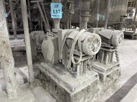 Lot (2) Water Pumps