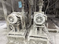 Lot (2) Water Pumps - 2