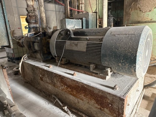 Reliance Electric Pump