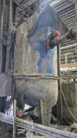 Mixing Silo - 2