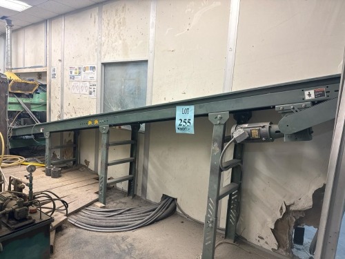 Trim Saw Output Conveyor
