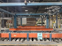 Gantry Style Conveyor Transfer System/Accumulator - 3