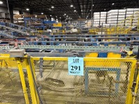 Conveyor Transfer System - 4