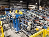 Conveyor Transfer System - 5