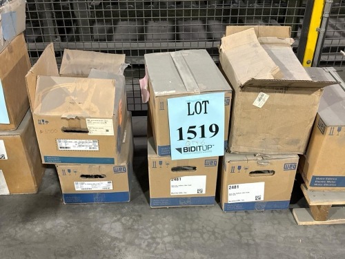 (6) 2024 WEG Electric Motors