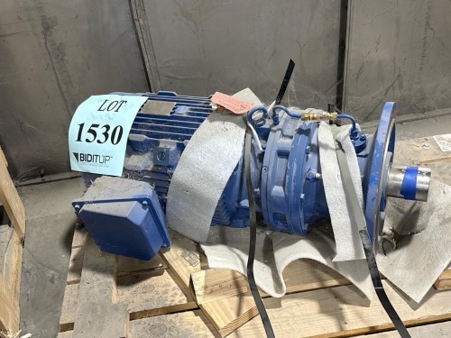 Gear Motor Assembly