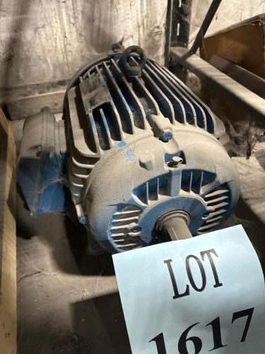 WEG Electric Motor