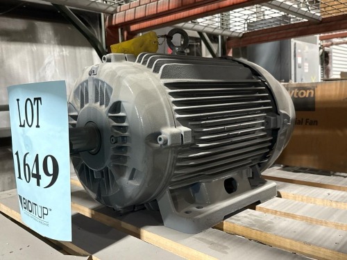 WEG Electric Motor