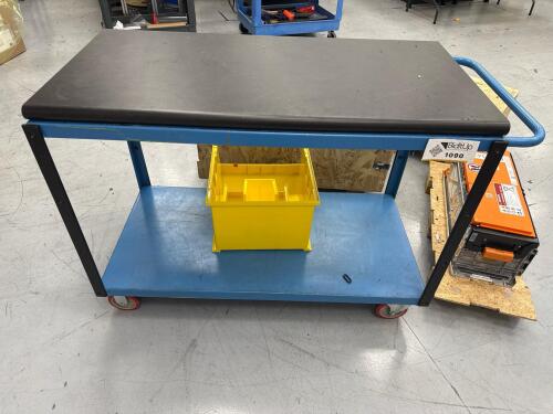 Mobile Lab Workbench 48&rdquo; x 24&rdquo; x 36&rdquo;