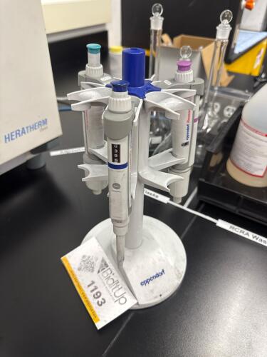 (3) EPPENDORF Single Channel Pippetts With Stand
