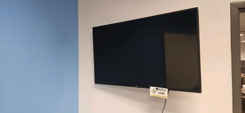 LG 43" Monitor