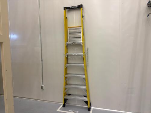 6&rsquo; WERNER Ladder