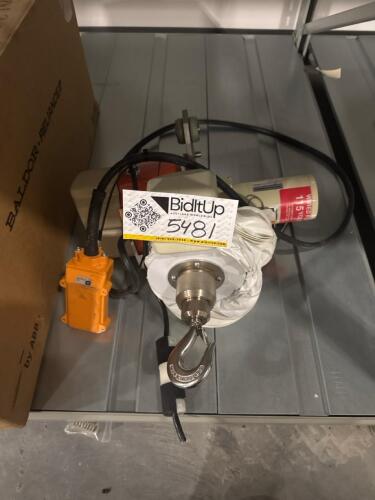 500 lb electric crane with remote