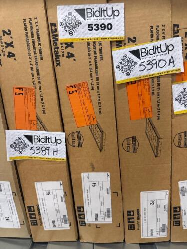 2&rsquo;x4&rsquo; parabolic troffer light fixture