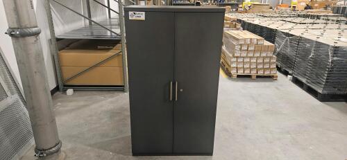 2-Door Cabinet