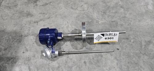 (2) Resistance Thermometers