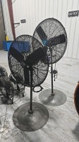 (2) Global Industrial 30" Pedestal Fans - 2