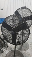 (2) Global Industrial 30" Pedestal Fans - 3