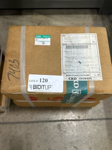 CKD Direct Driver Motor Set, Model: AX4045TS-DM04-P3-U2