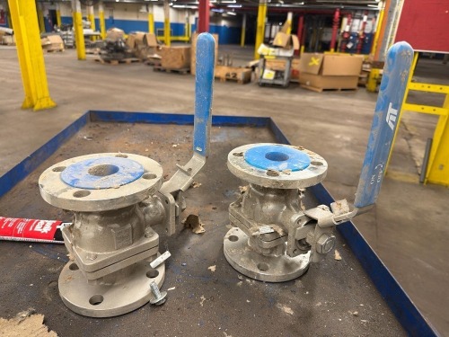 (2) MT flanged industrial ball valve