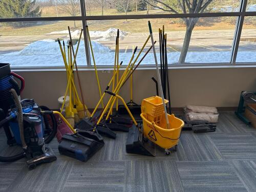 Lot of Assorted Cleaning Supplies