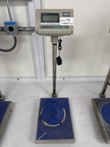 Global Electronic Platform Scale, 330 lb/150 kg Capacity, 18x14 in Stainless Steel Platform, Digital LCD