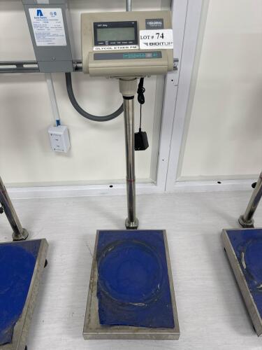 Global Industrial Electronic Platform Scale, 330 lbs Capacity, 24" x 24" Platform