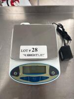 Electronic Counting Bench Scale, 30 kg Capacity, 1 g Readability, Digital LCD Display