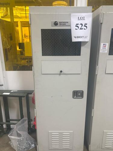 Matheson Tri-Gas MGCS-0116 Gas Cylinder Storage Cabinet, 3-Cylinder Capacity, Steel Construction
