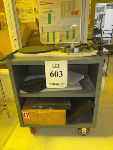 Cleanroom Storage Cabinet & Rolling Utility Cart