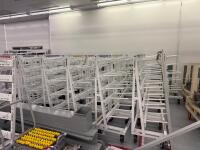 LOT OF ASSORTED CUSTOM MOBILE RACKS<br/>(LOCATION: CELL ASSEMBLY LINE 1 WEST WALL ENTRANCE) - 2
