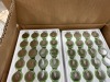 800 New Panasonic BE2450A Lithium Batteries 3v Boxed - 2
