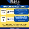 FUTURE AUCTIONS