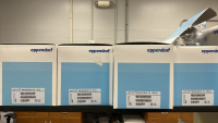 LOT (11) EPPENDORF RESEARCH PLUS PIPETTES, (3) 10ml, (2) 5mL, (4) 1000ul, (1) 100ul, and (1) 20ul - 4