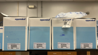 LOT (11) EPPENDORF RESEARCH PLUS PIPETTES, (3) 10ml, (2) 5mL, (4) 1000ul, (1) 100ul, and (1) 20ul - 5