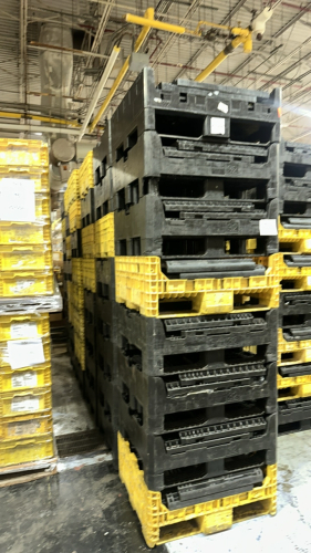 LOT (48) ASST&rsquo;D BLACK AND YELLOW 30&rdquo; x 32&rdquo; x 34&rdquo; H PLASTIC COLLAPSIBLE PALLETS