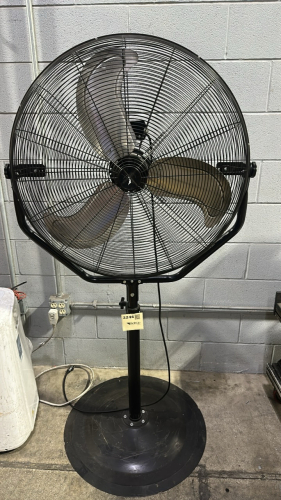 LOT (2) 30" PEDESTAL FANS