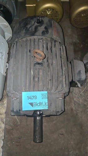 Large Induction Motor