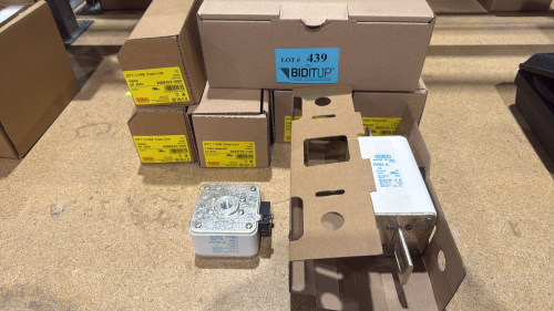 LOT (10) SIBA URS FUSE-LINKS