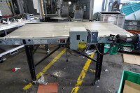 EMI ADF-36-7-20 Belt Conveyor - 3