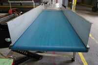 EMI EAF36-132-20 Belt Conveyor - 2