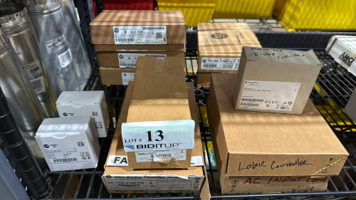LOT (12) ASST'D ALLEN-BRADLEY MODULES, CONTACTORS AND RELAY (LOCATION: PLANT 5, 48668 ALPHA DR, WIXOM, MI 48393)