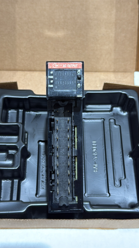 Allen-Bradley 1756-OA16 ControlLogix I/O Module, 120/240V AC 2.5A Output, (LOCATION: PLANT 5, 48668 ALPHA DR, WIXOM, MI 48393)