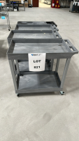 LOT OF (4) ASSORTED PLASTIC UTILITY CARTS, DIMENSIONS: (3) 35" x 18" x 34", (1) 39" x 17" x 33"