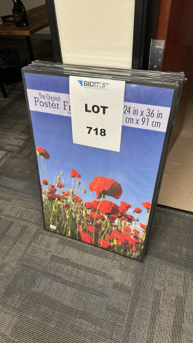 LOT OF (6) POSTER FRAMES, DIMENSIONS: 24" x 36"