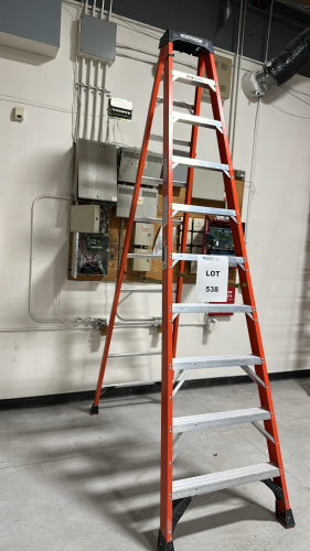 WERNER 10' LADDER, MODEL: NXT1A10 MK20